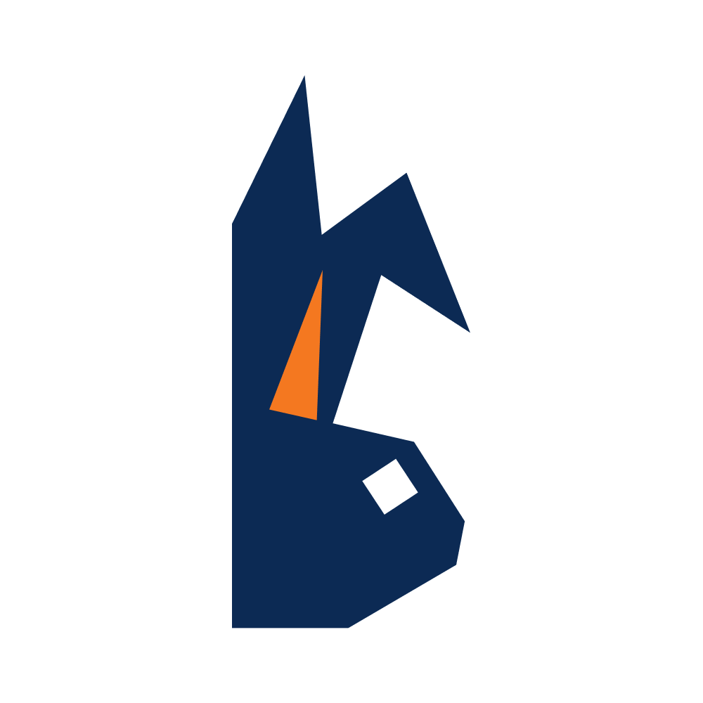 Buni Token logo