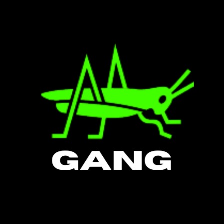 Air Gang Mumbai logo