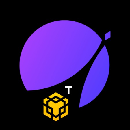 apx-perp-bnb-testnet logo