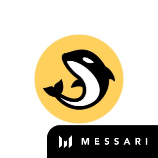 Orca Whirlpool Solana V2 logo