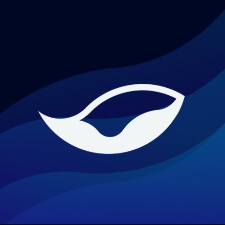 Phuture Avalanche logo